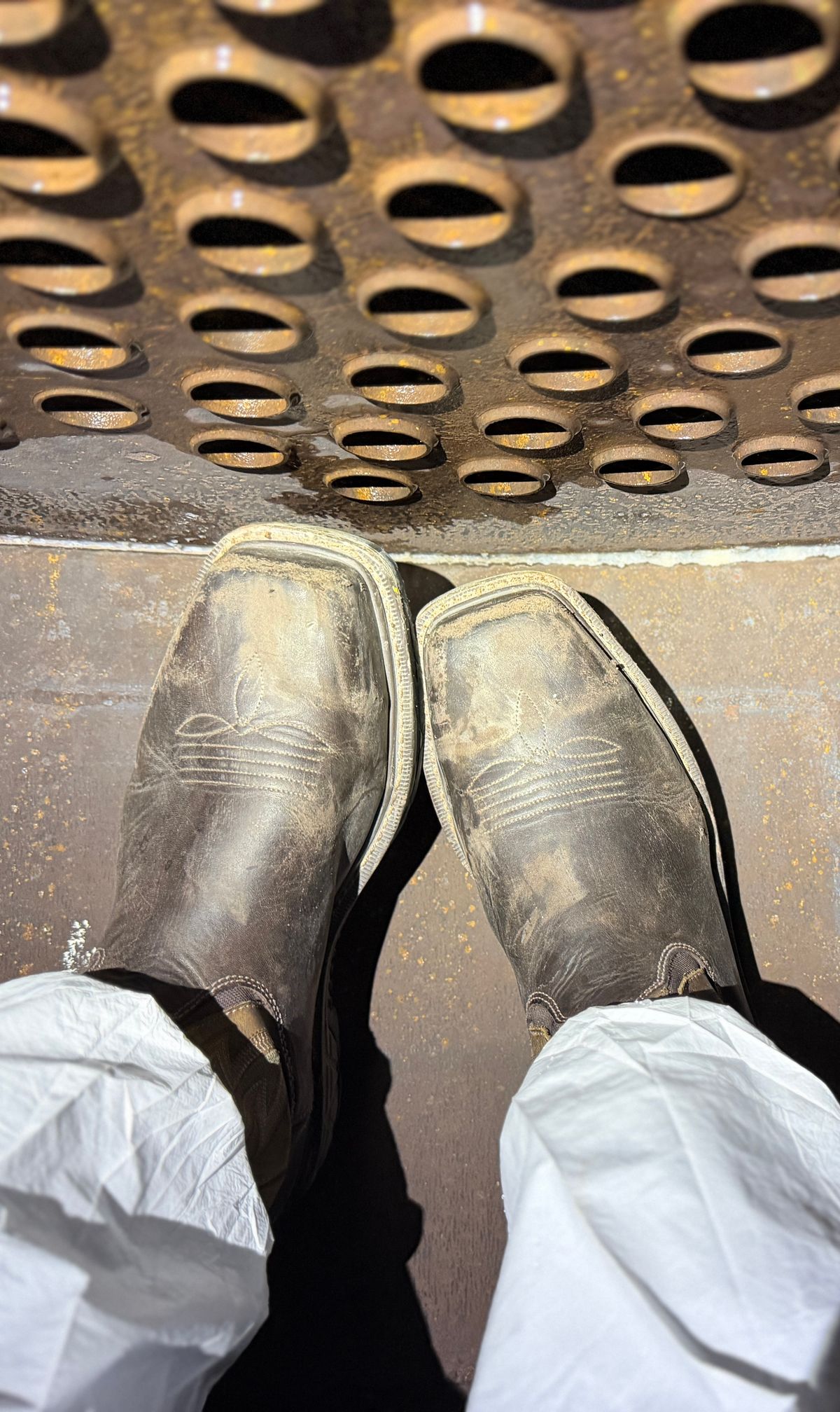 Photo by Michael on December 30, 2025 of the Red Wing 2227 Rio Flex in S.B. Foot Black Boomer.