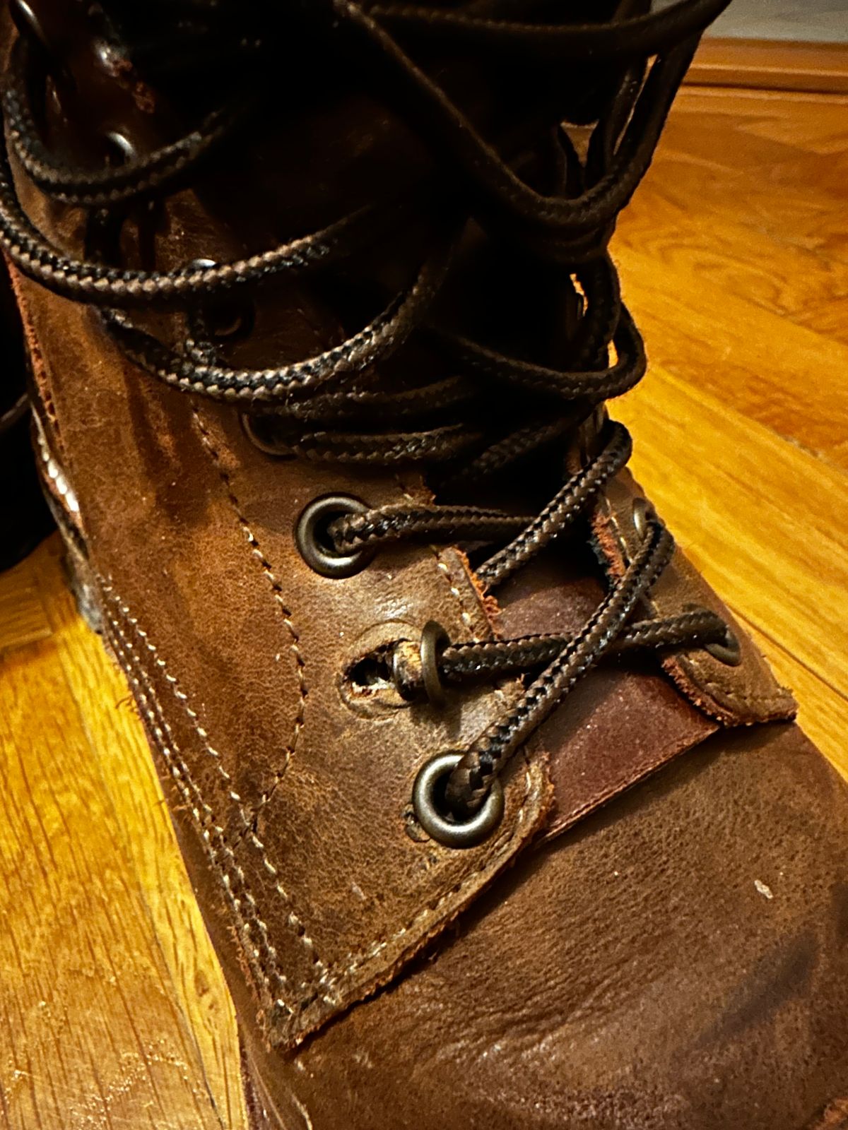 Photo by bene on October 22, 2025 of the Thursday Logger in Arizona Adobe Rugged & Resilient.