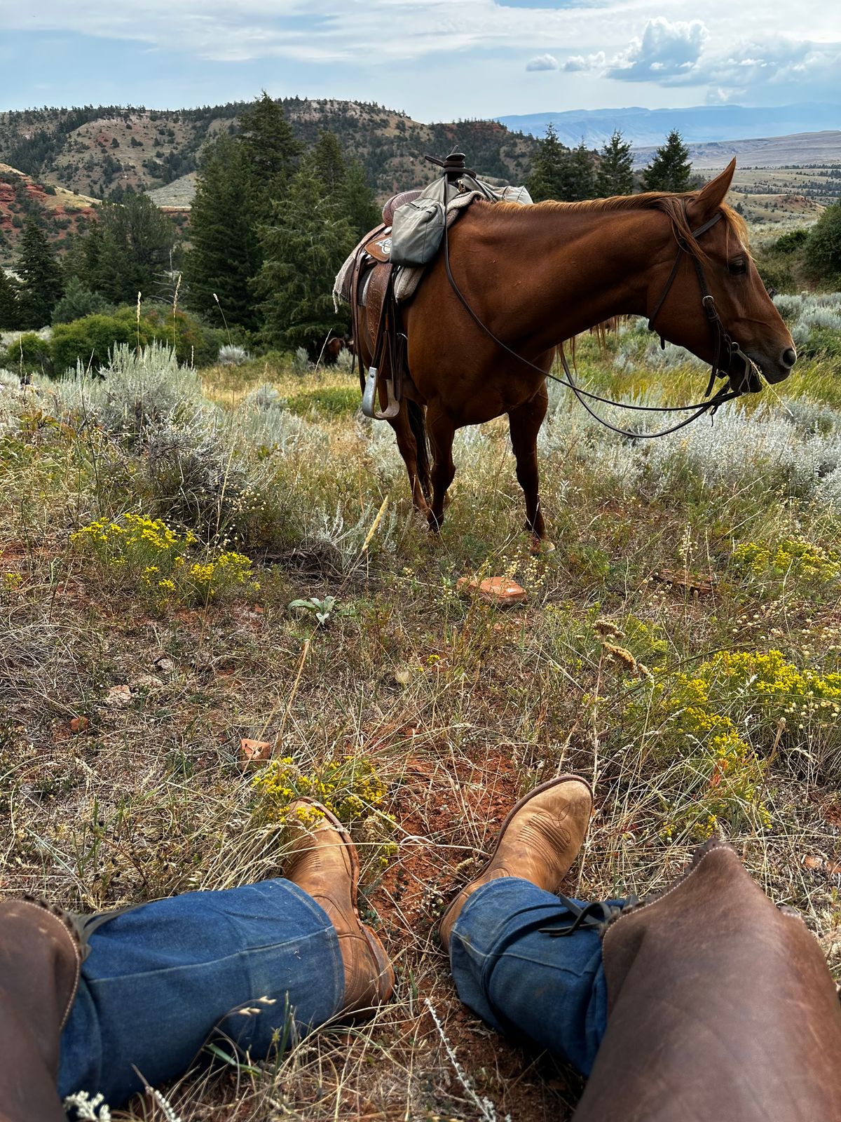 Photo by bene on August 27, 2025 of the Tecovas The Jason in Caramel Cowhide.