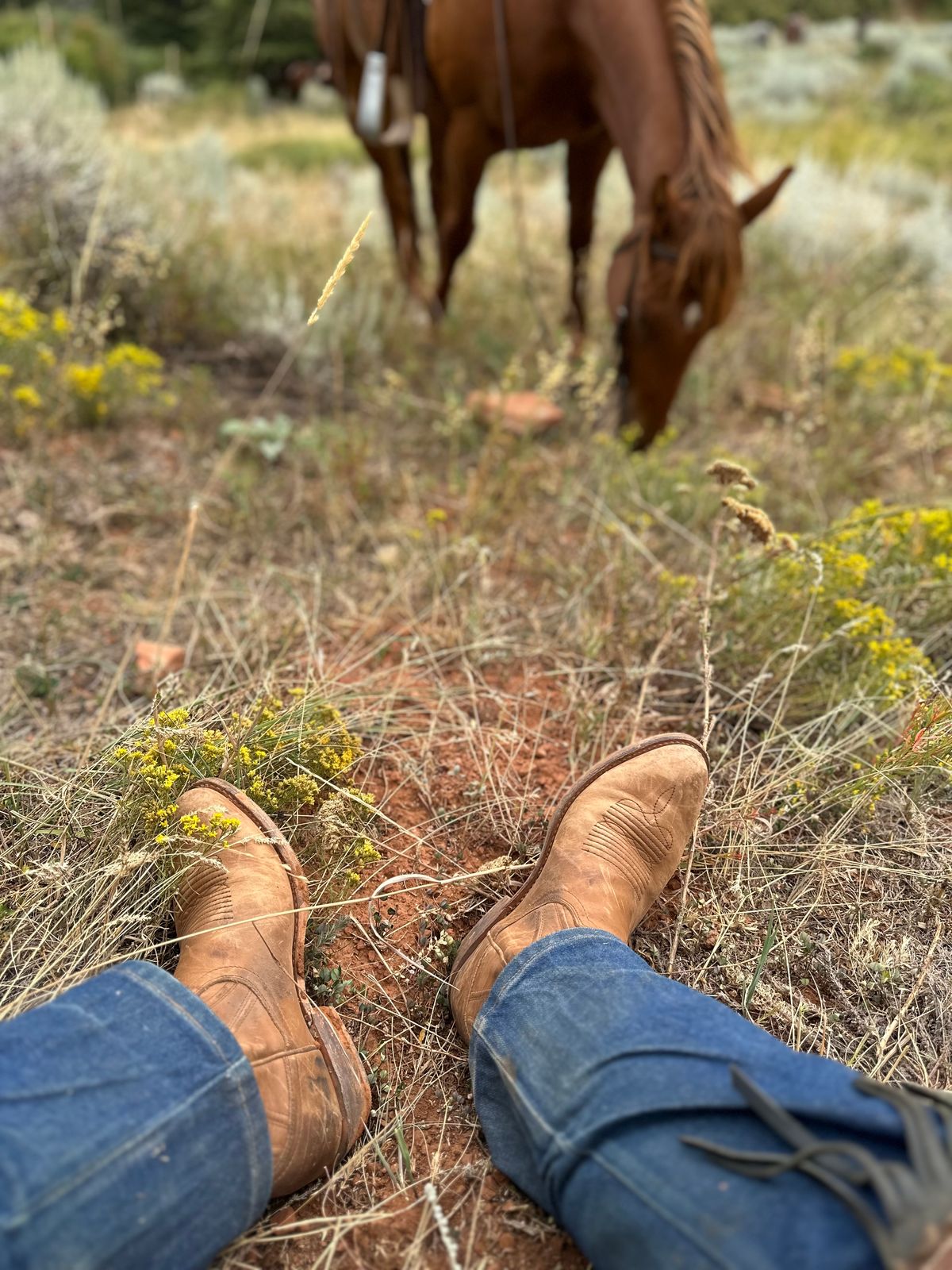 Photo by bene on August 27, 2025 of the Tecovas The Jason in Caramel Cowhide.
