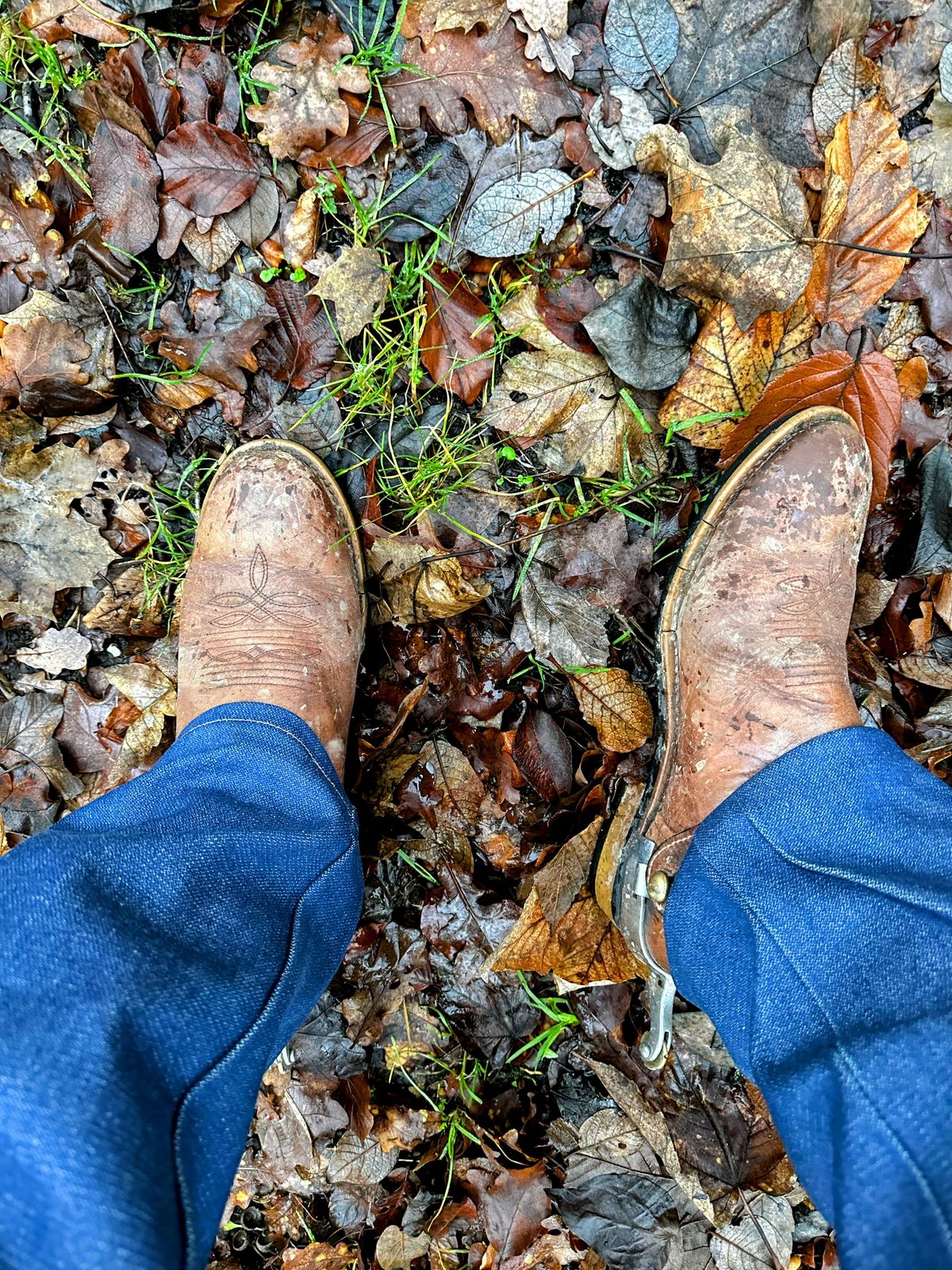 Photo by bene on December 14, 2025 of the Unknown Maker Unknown Model in Unknown Leather.