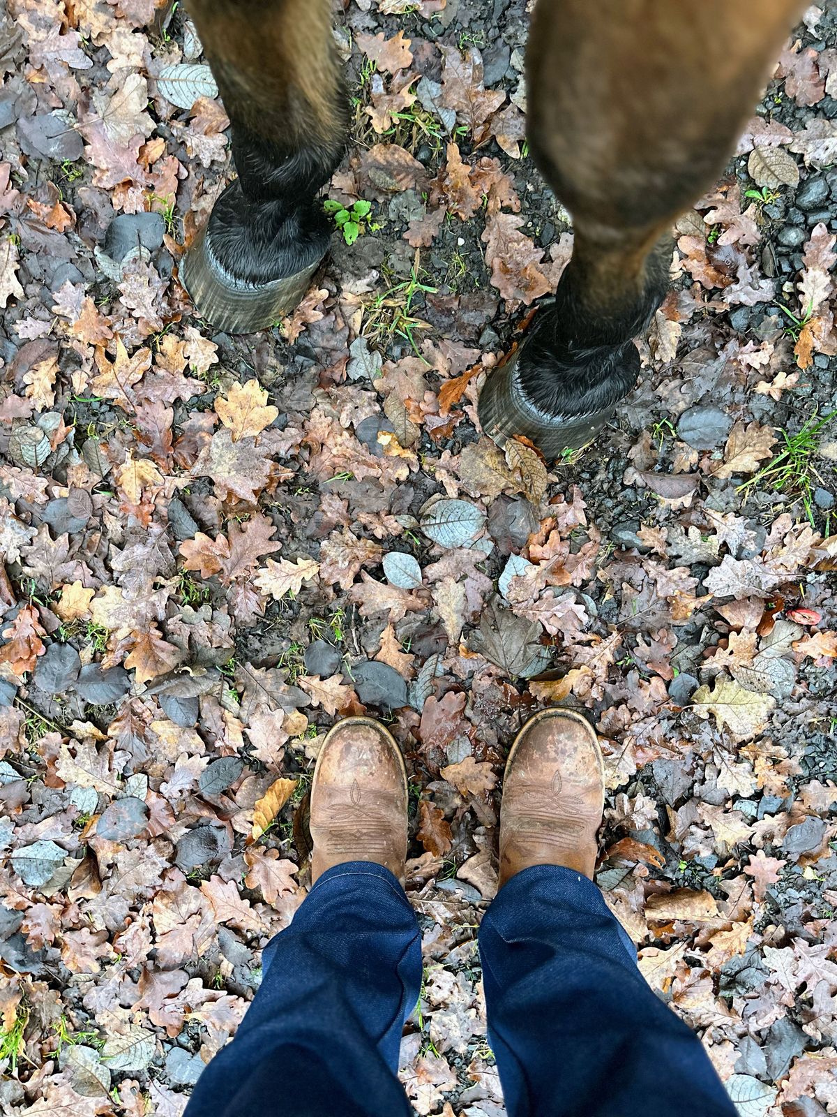 Photo by bene on December 14, 2025 of the Unknown Maker Unknown Model in Unknown Leather.