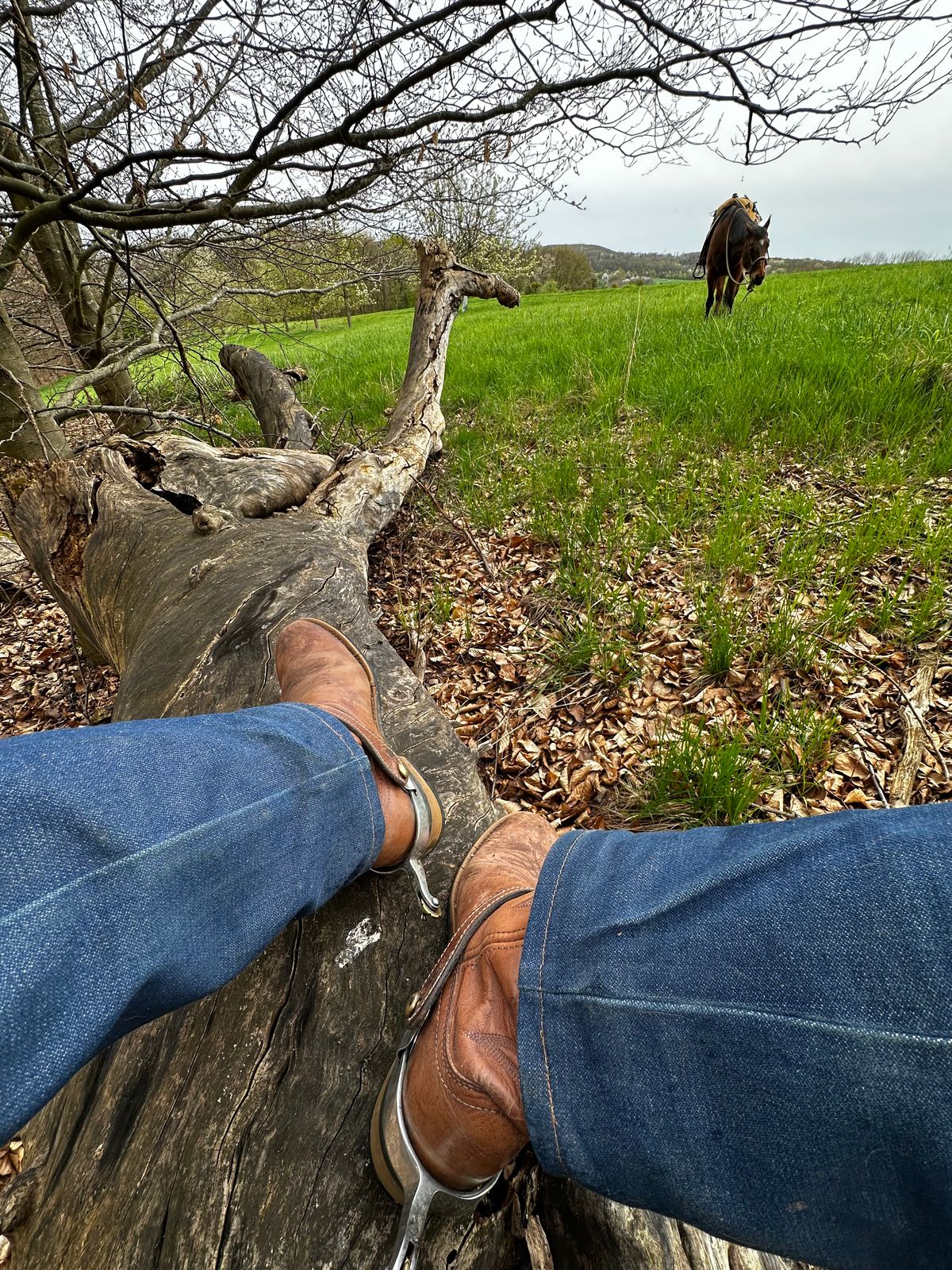 Photo by bene on April 12, 2026 of the Unknown Maker Unknown Model in Unknown Leather.