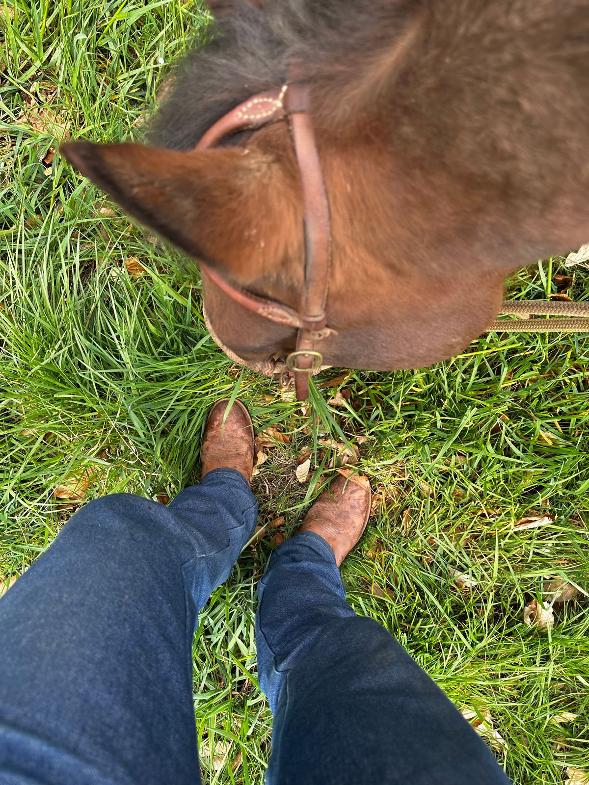 Photo by bene on April 12, 2026 of the Unknown Maker Unknown Model in Unknown Leather.