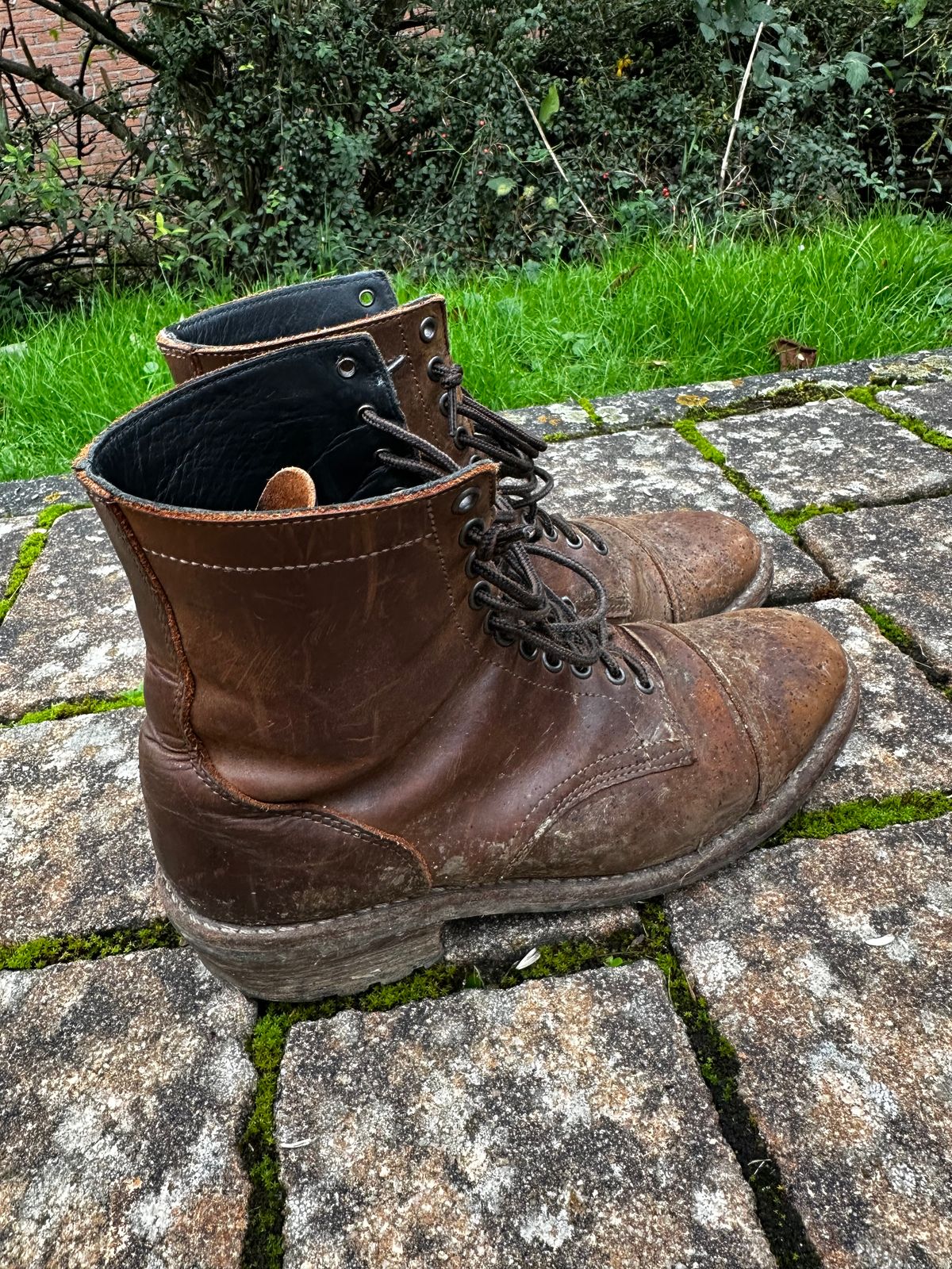 Photo by bene on October 8, 2025 of the Thursday Logger in Arizona Adobe Rugged & Resilient.