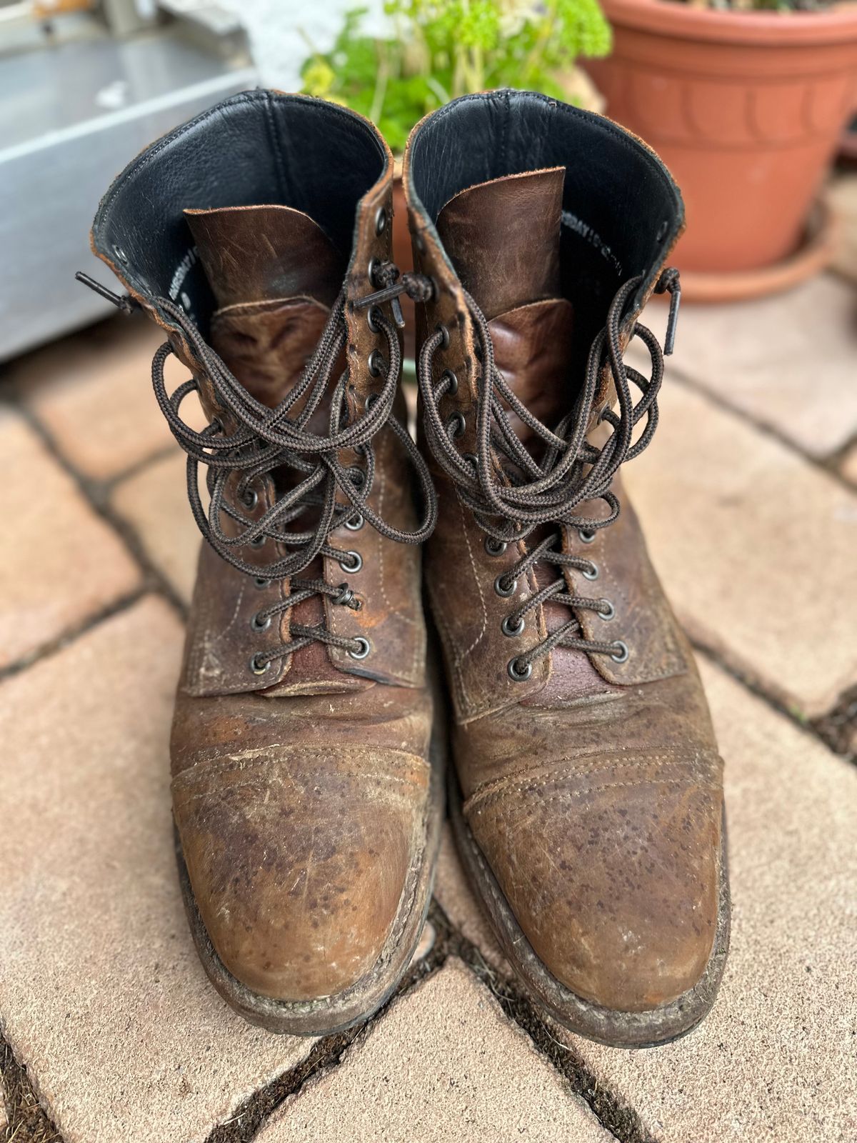 Photo by bene on October 8, 2025 of the Thursday Logger in Arizona Adobe Rugged & Resilient.