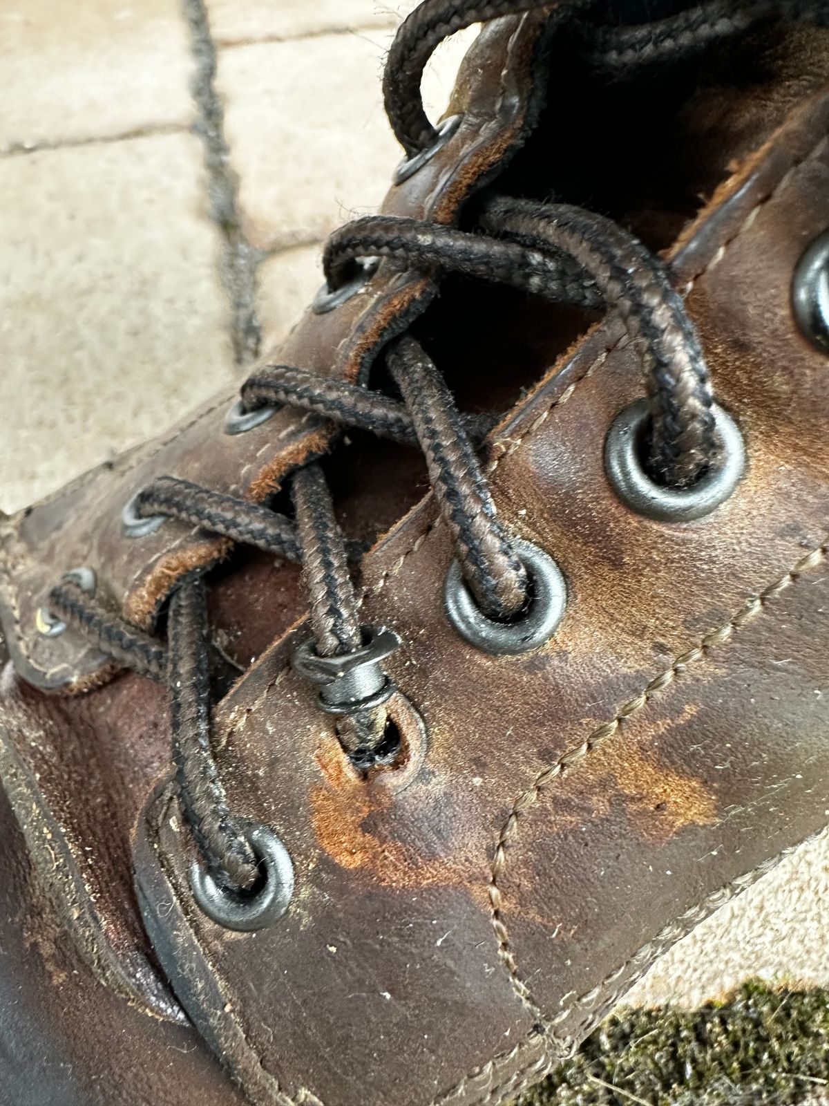 Photo by bene on October 8, 2025 of the Thursday Logger in Arizona Adobe Rugged & Resilient.