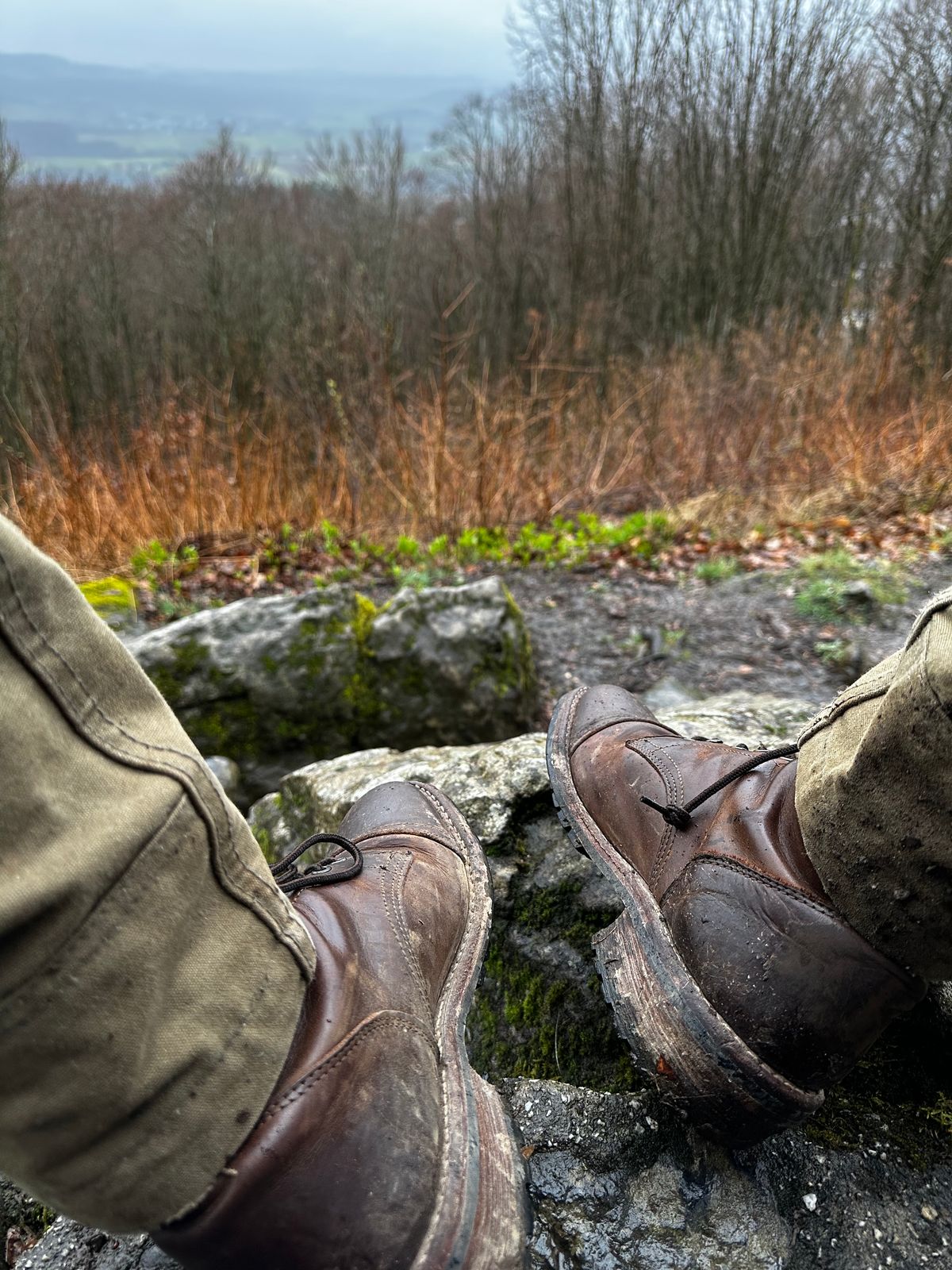 Photo by bene on March 11, 2026 of the Thursday Logger in Arizona Adobe Rugged & Resilient.