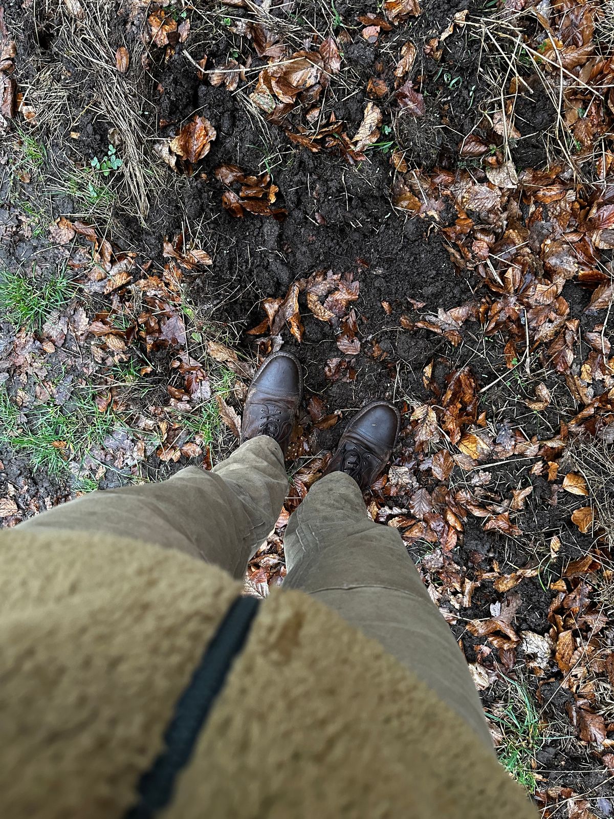 Photo by bene on March 11, 2026 of the Thursday Logger in Arizona Adobe Rugged & Resilient.