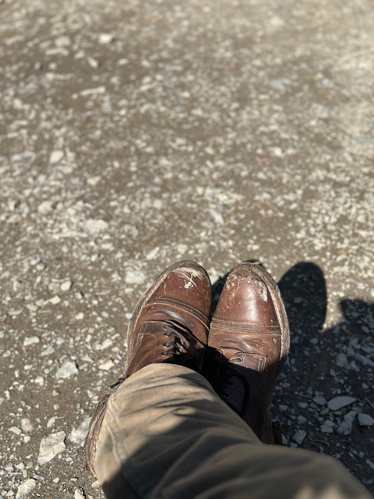 Photo by bene on May 15, 2026 of the Thursday Logger in Arizona Adobe Rugged & Resilient.