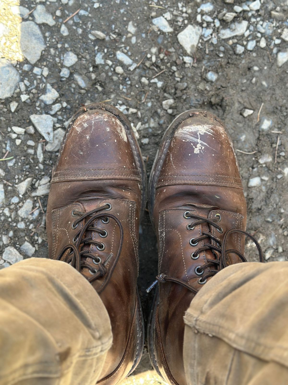 Photo by bene on May 15, 2026 of the Thursday Logger in Arizona Adobe Rugged & Resilient.