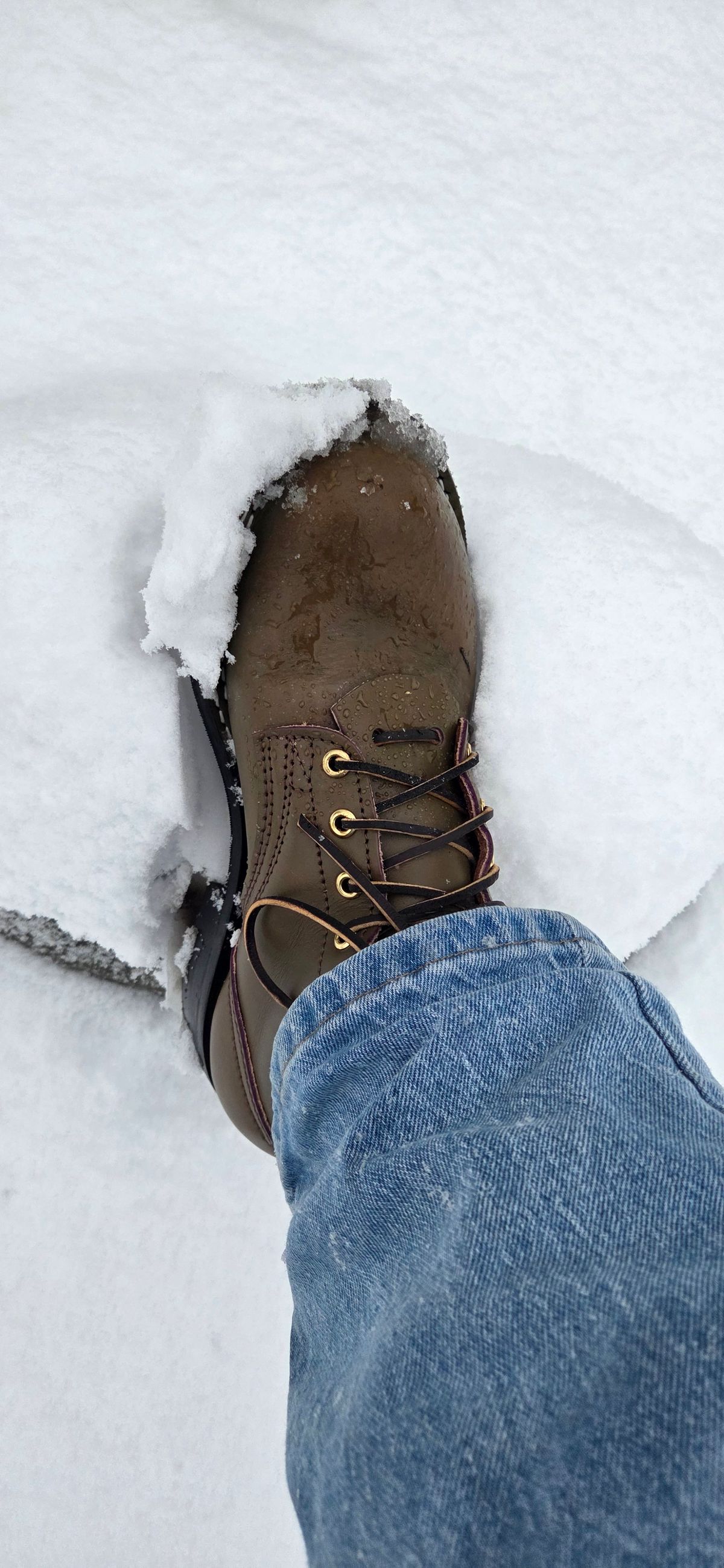 Photo by AckAttack6710 on January 18, 2026 of the Nicks MTO in Wickett & Craig "Barney" Purple Overdyed Olive.