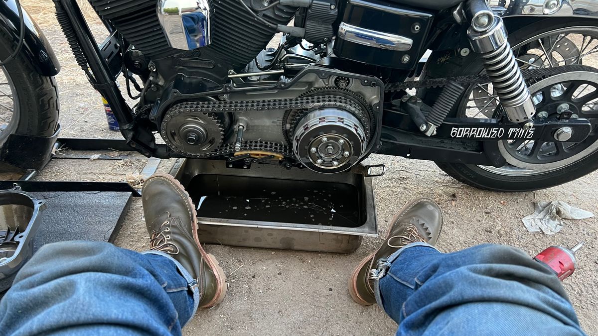 Photo by robmagr on October 6, 2025 of the Nicks Maxwell in Shakelton Greener Pastures.