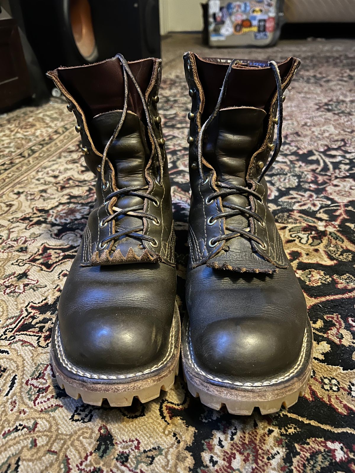 Photo by robmagr on November 6, 2025 of the Nicks Maxwell in Shakelton Greener Pastures.