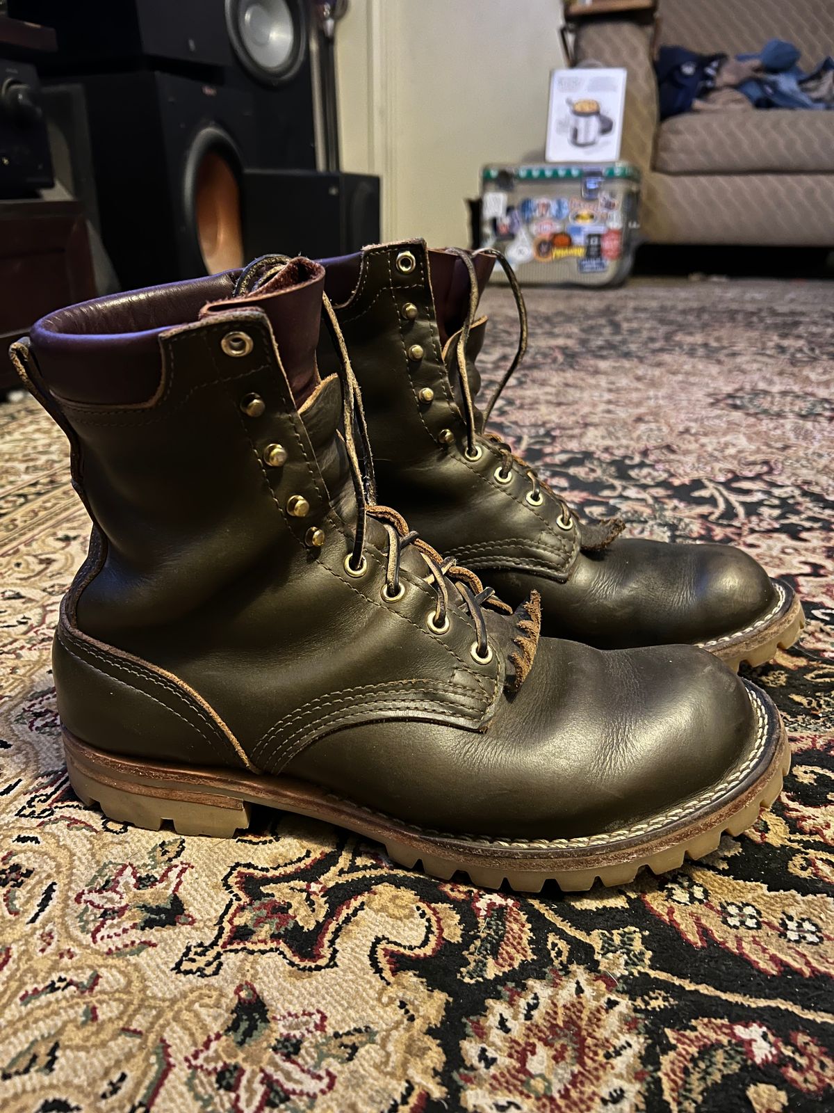 Photo by robmagr on November 6, 2025 of the Nicks Maxwell in Shakelton Greener Pastures.