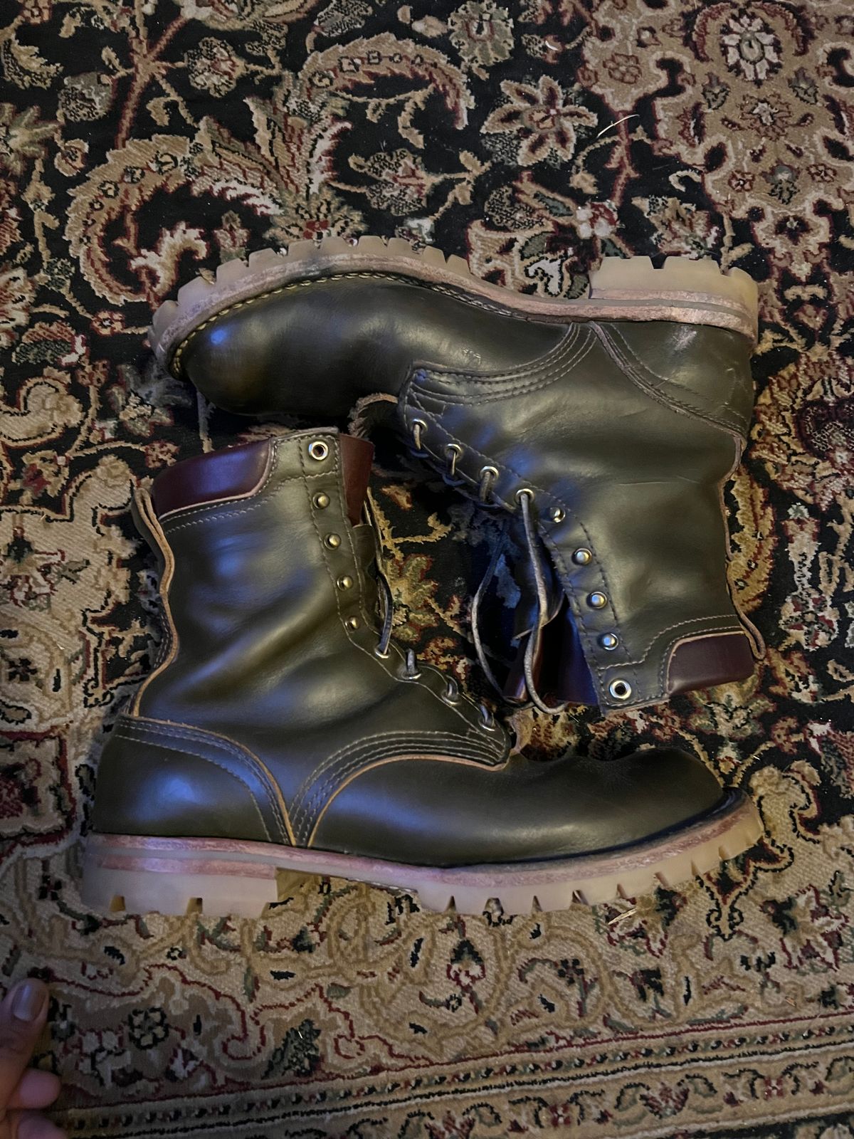 Photo by robmagr on November 6, 2025 of the Nicks Maxwell in Shakelton Greener Pastures.