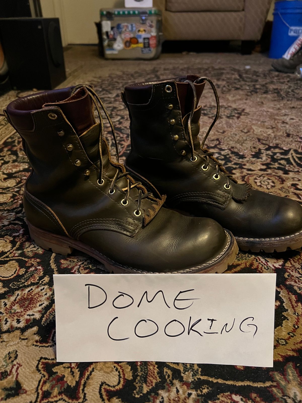 Photo by robmagr on November 6, 2025 of the Nicks Maxwell in Shakelton Greener Pastures.