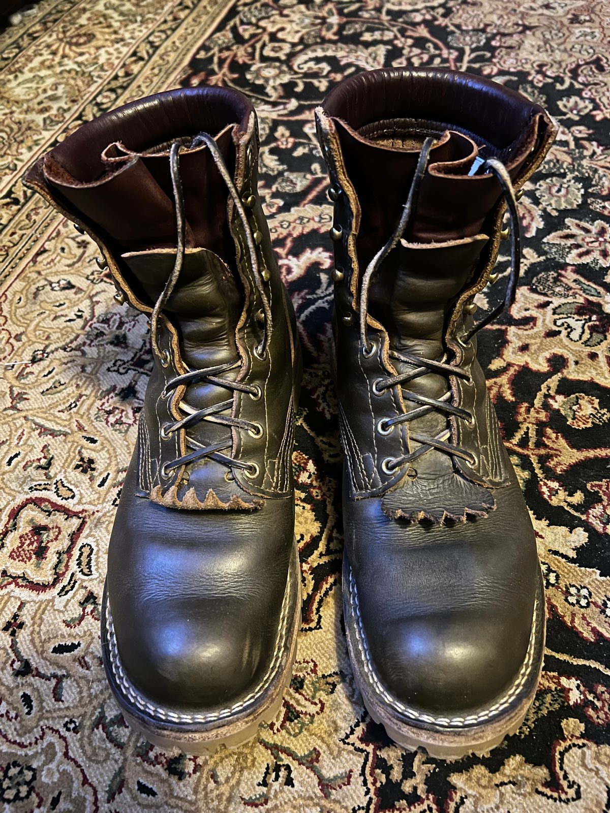 Photo by robmagr on November 6, 2025 of the Nicks Maxwell in Shakelton Greener Pastures.