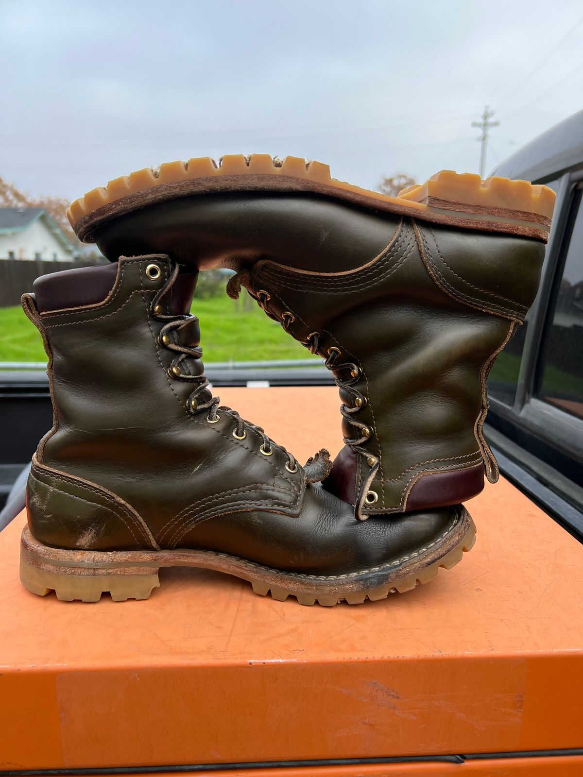 Photo by robmagr on December 5, 2025 of the Nicks Maxwell in Shakelton Greener Pastures.