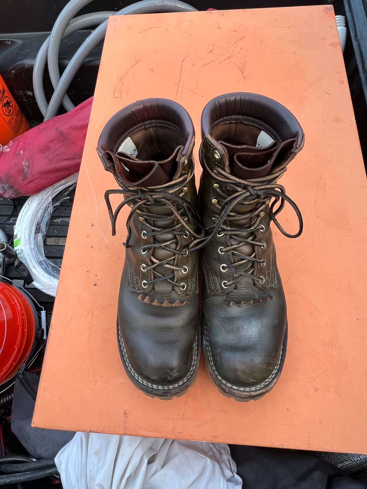 Photo by robmagr on January 2, 2026 of the Nicks Maxwell in Shakelton Greener Pastures.