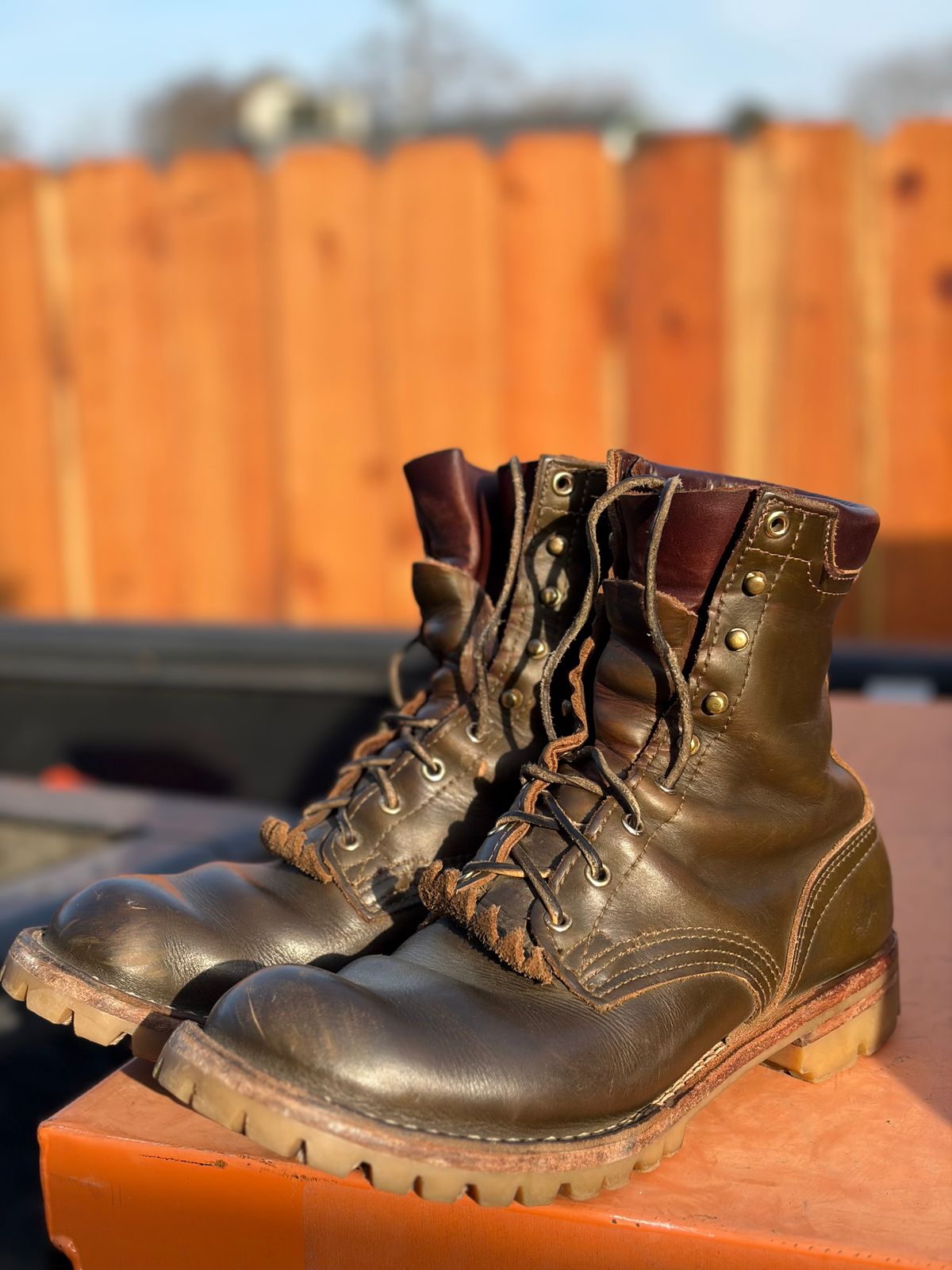 Photo by robmagr on January 28, 2026 of the Nicks Maxwell in Shakelton Greener Pastures.