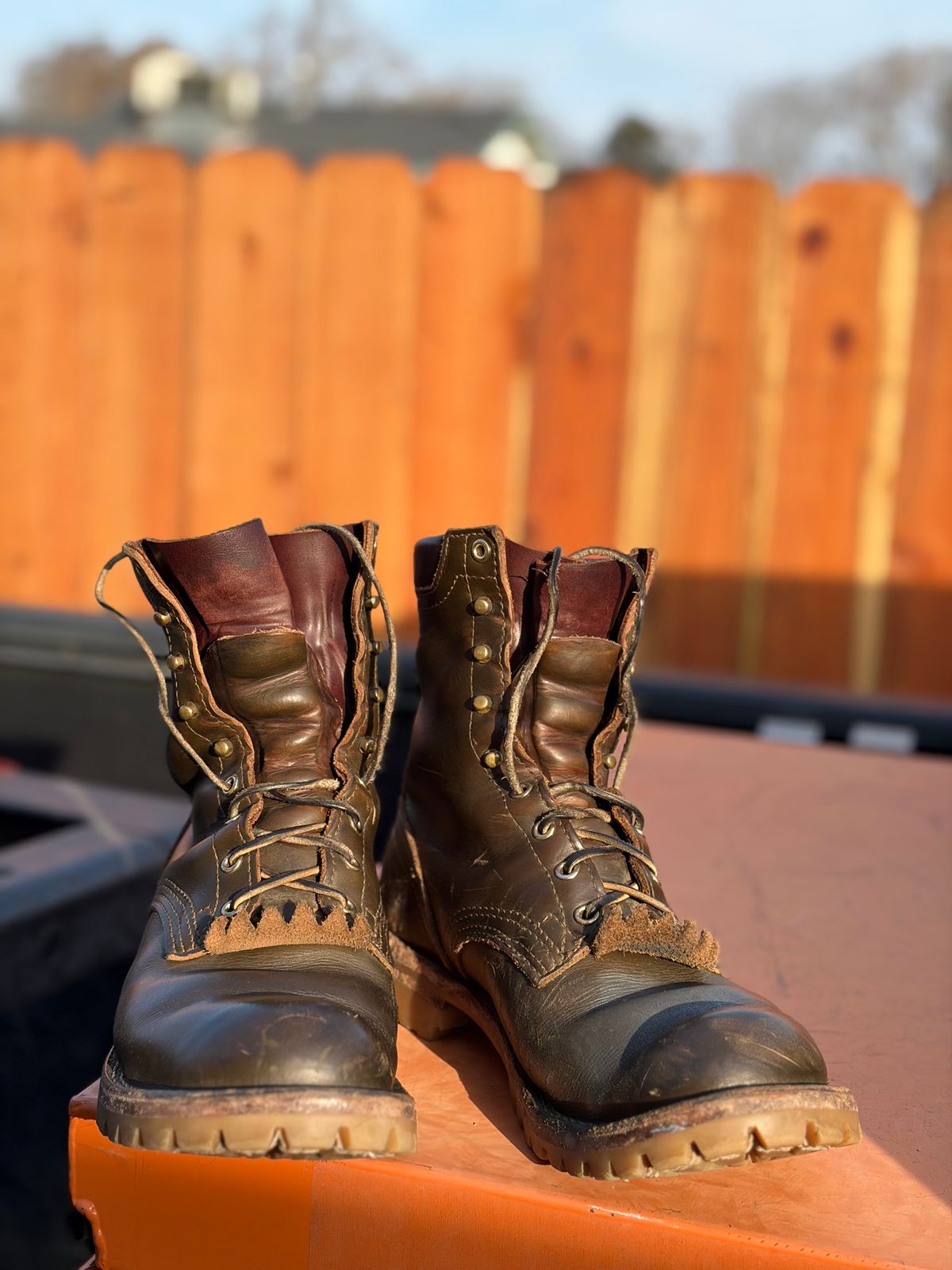 Photo by robmagr on January 28, 2026 of the Nicks Maxwell in Shakelton Greener Pastures.