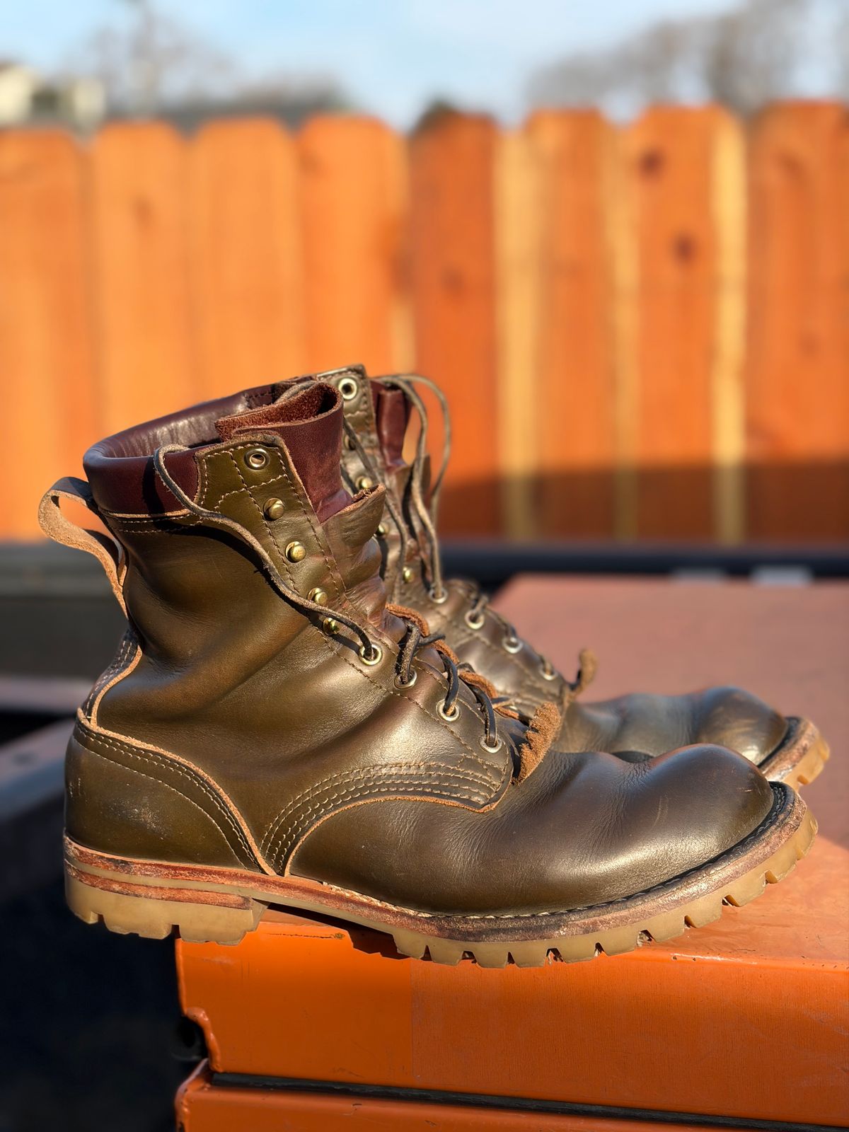 Photo by robmagr on January 28, 2026 of the Nicks Maxwell in Shakelton Greener Pastures.