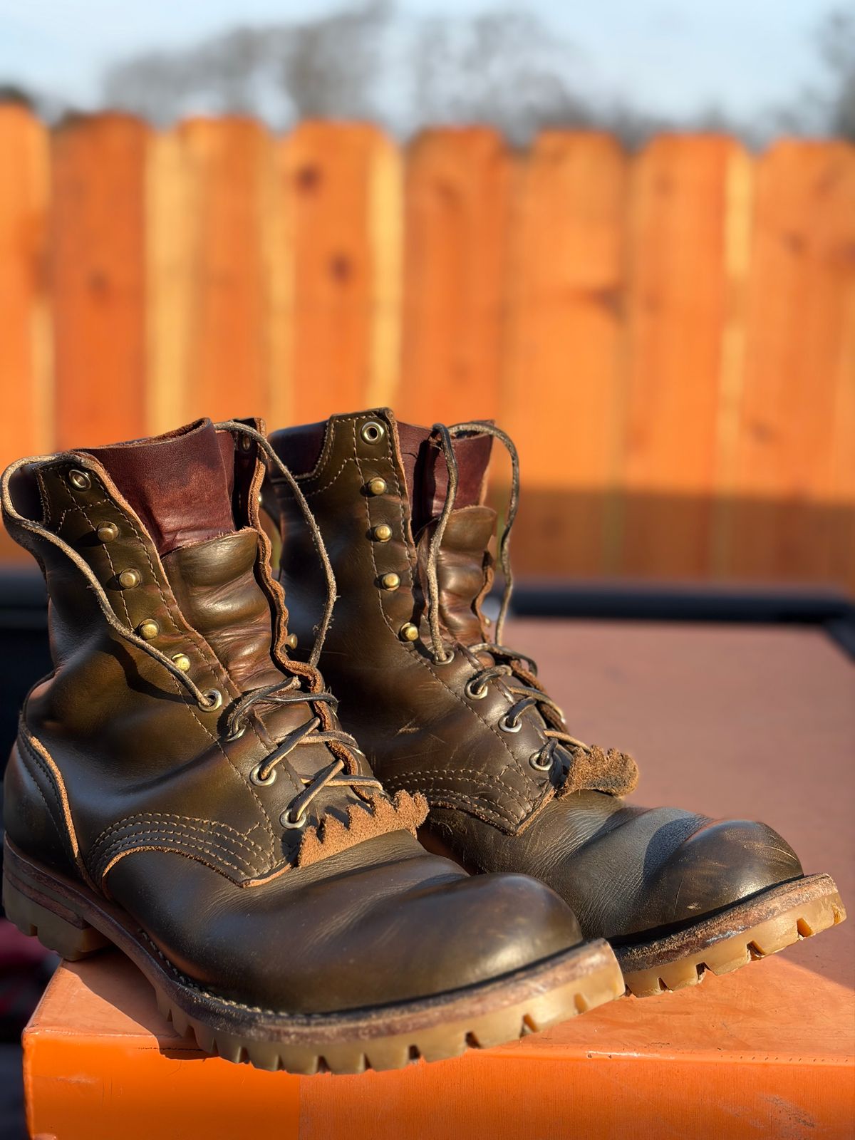 Photo by robmagr on January 28, 2026 of the Nicks Maxwell in Shakelton Greener Pastures.