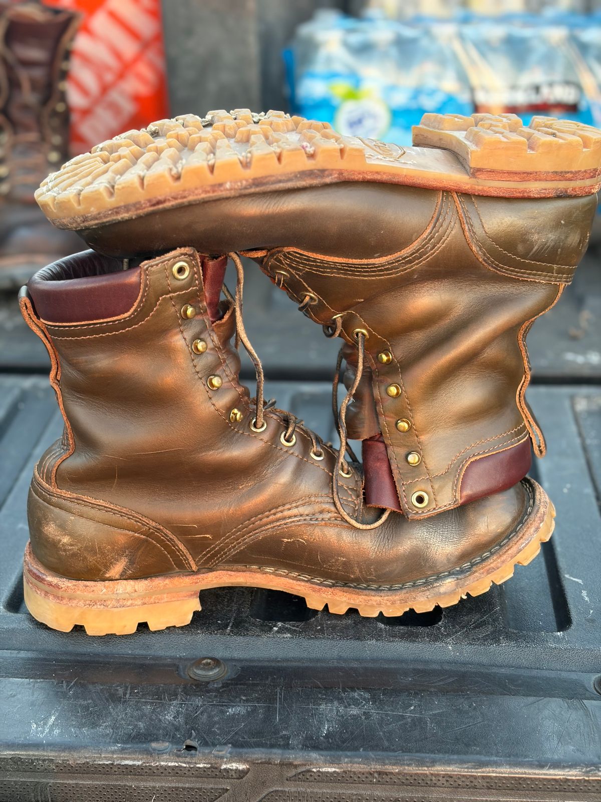 Photo by robmagr on February 4, 2026 of the Nicks Maxwell in Shakelton Greener Pastures.