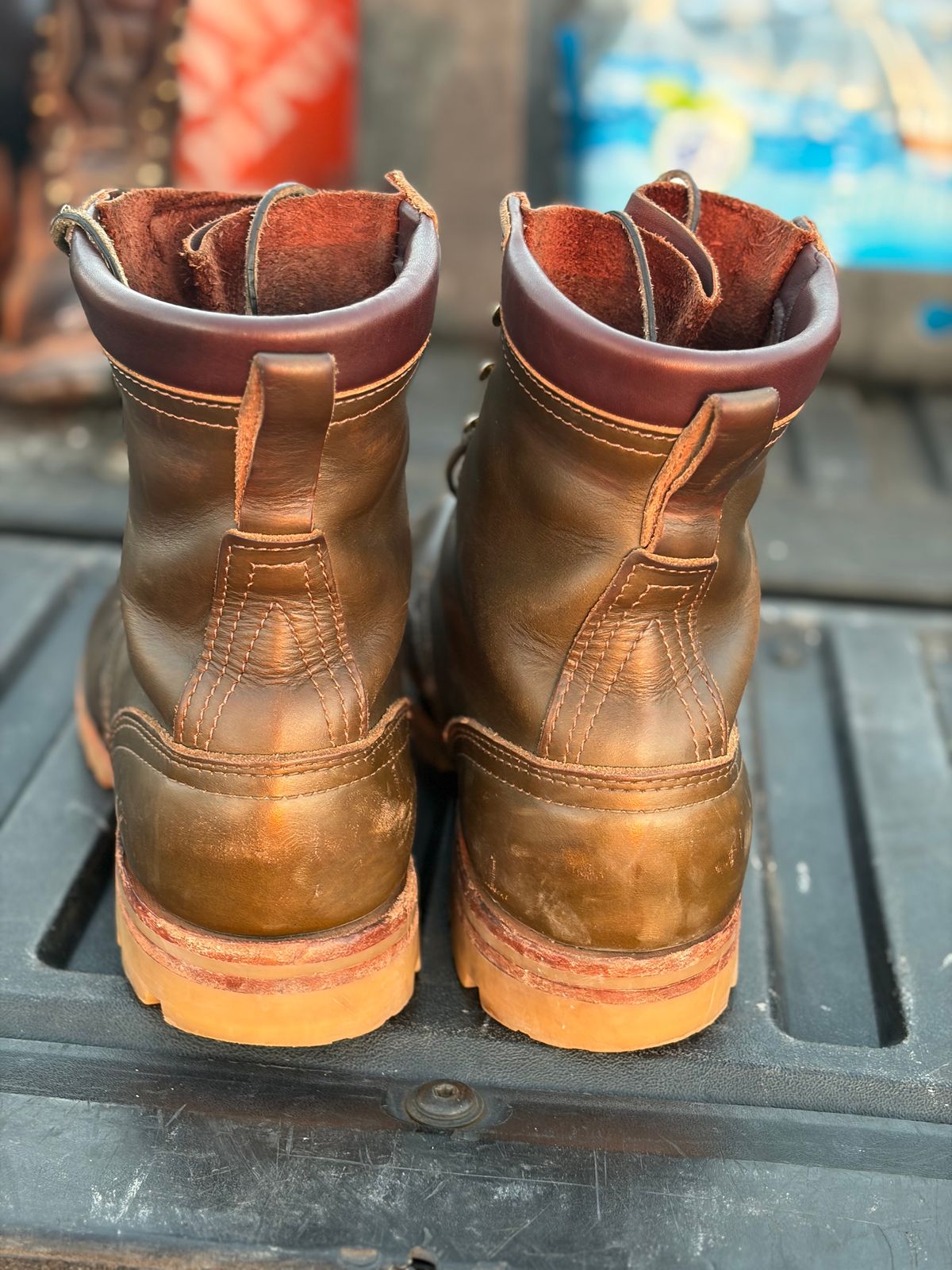 Photo by robmagr on February 4, 2026 of the Nicks Maxwell in Shakelton Greener Pastures.