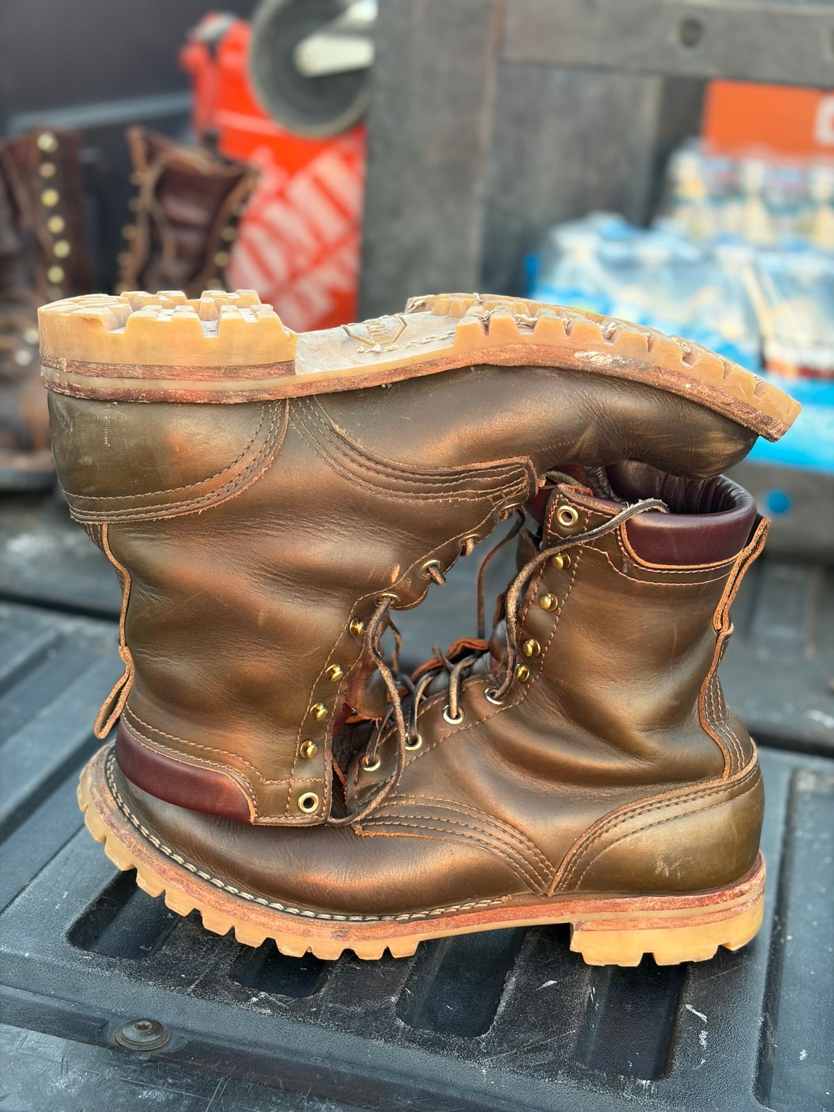 Photo by robmagr on February 4, 2026 of the Nicks Maxwell in Shakelton Greener Pastures.