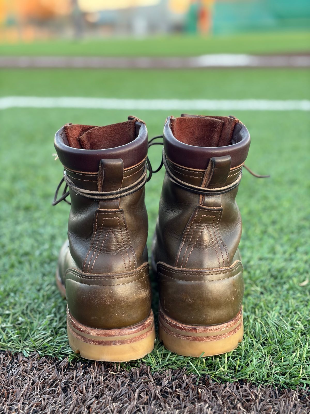 Photo by robmagr on March 6, 2026 of the Nicks Maxwell in Shakelton Greener Pastures.