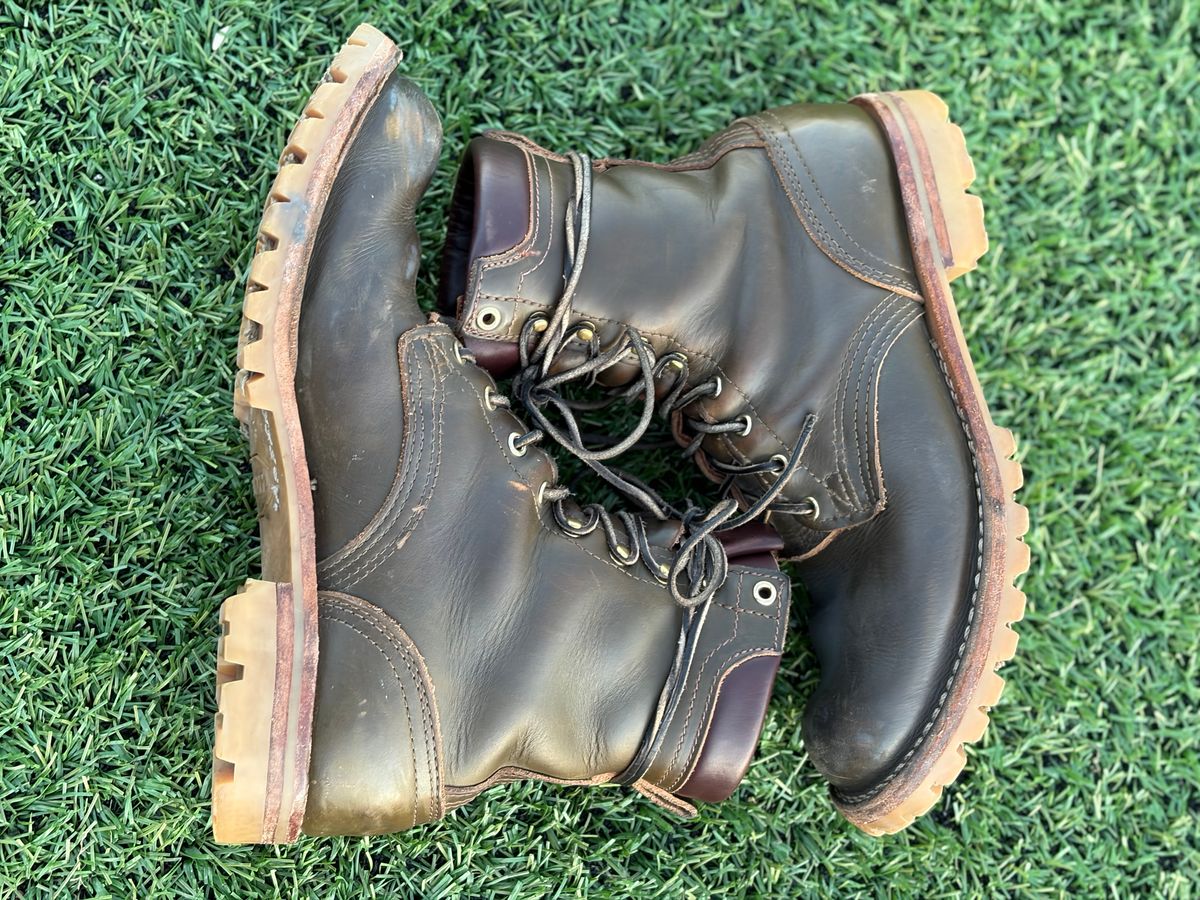 Photo by robmagr on March 6, 2026 of the Nicks Maxwell in Shakelton Greener Pastures.