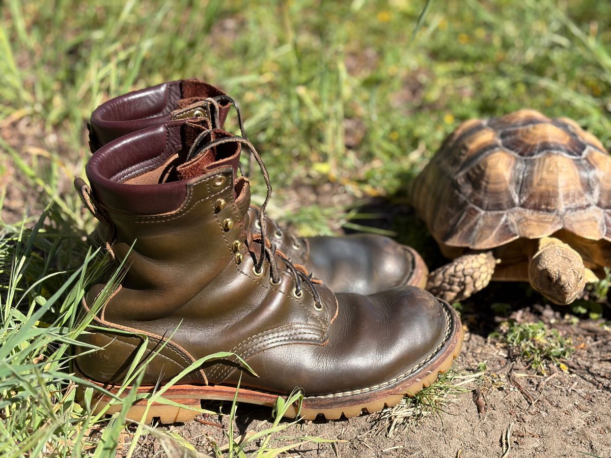 Photo by robmagr on March 12, 2026 of the Nicks Maxwell in Shakelton Greener Pastures.