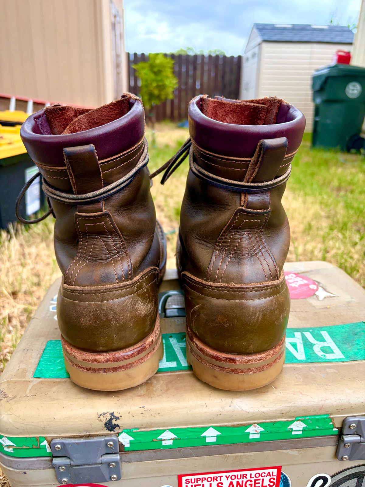 Photo by robmagr on April 2, 2026 of the Nicks Maxwell in Shakelton Greener Pastures.