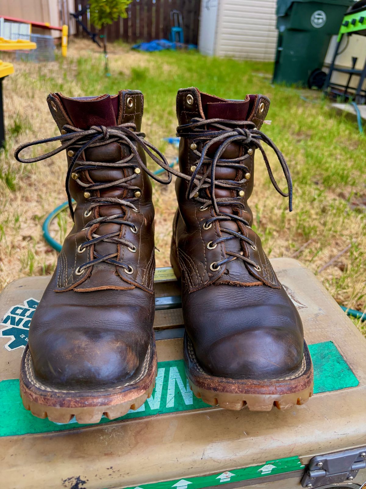 Photo by robmagr on April 2, 2026 of the Nicks Maxwell in Shakelton Greener Pastures.