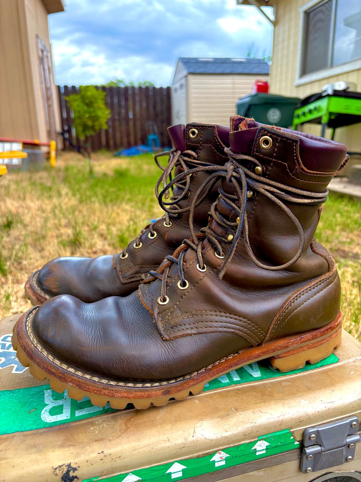 Photo by robmagr on April 2, 2026 of the Nicks Maxwell in Shakelton Greener Pastures.