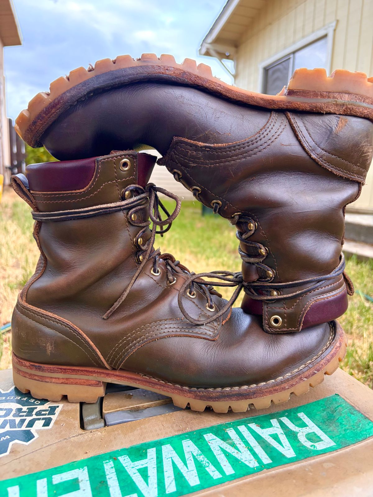 Photo by robmagr on April 2, 2026 of the Nicks Maxwell in Shakelton Greener Pastures.