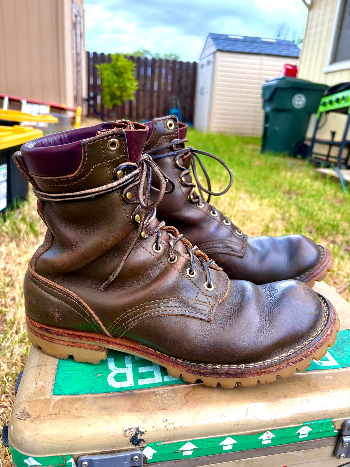 Photo by robmagr on April 2, 2026 of the Nicks Maxwell in Shakelton Greener Pastures.