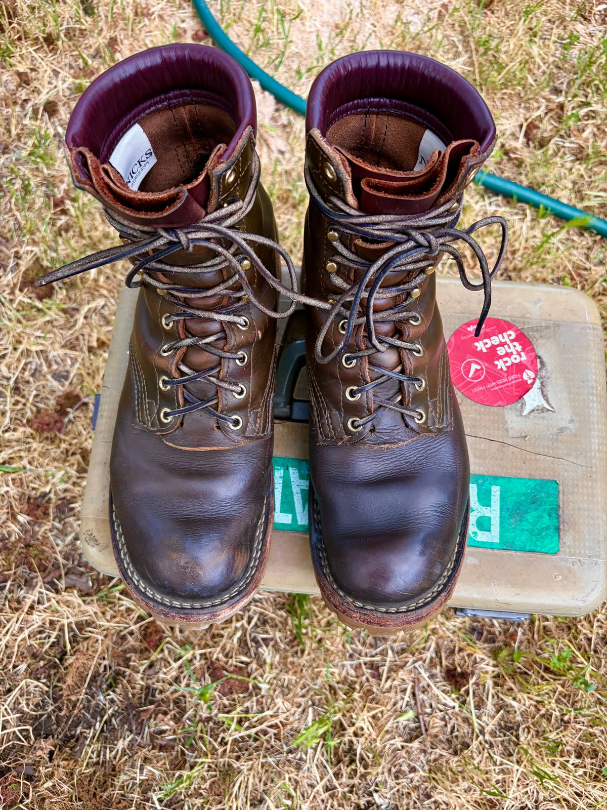 Photo by robmagr on April 2, 2026 of the Nicks Maxwell in Shakelton Greener Pastures.