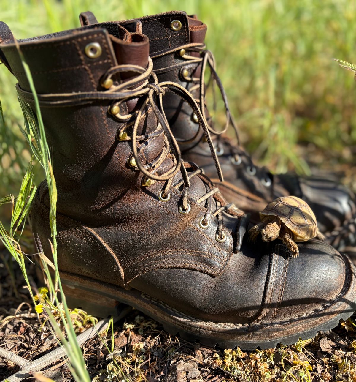 Photo by robmagr on March 18, 2026 of the Nicks x Rose Anvil ND1 in Horween Brown Waxed Flesh.