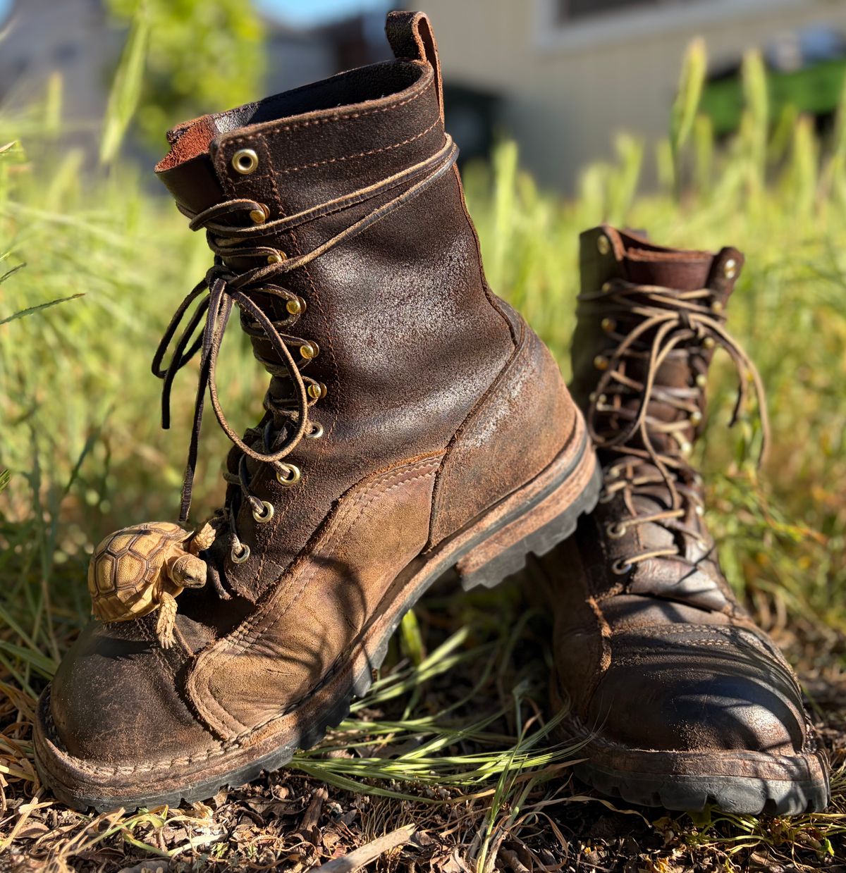Photo by robmagr on March 18, 2026 of the Nicks x Rose Anvil ND1 in Horween Brown Waxed Flesh.