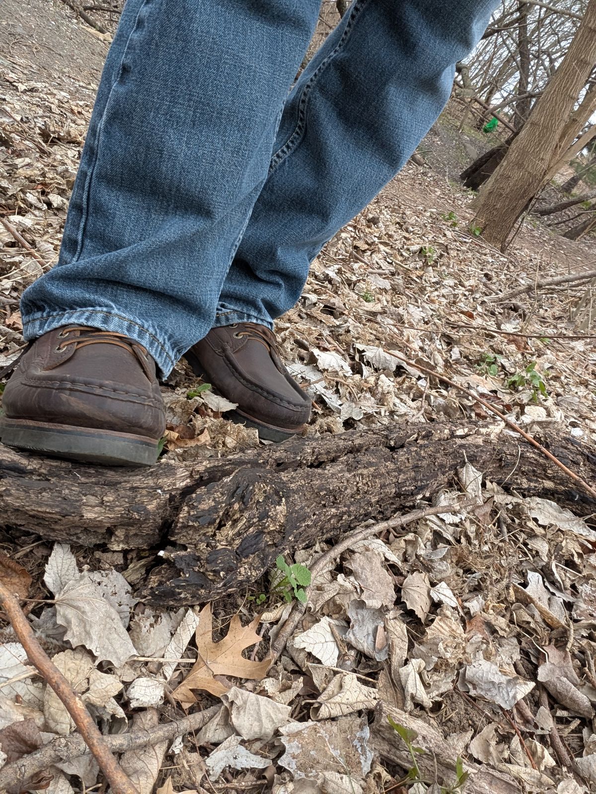 Photo by BootsInBK on April 4, 2026 of the Jim Green Workhorse in Jim Green Bronco.