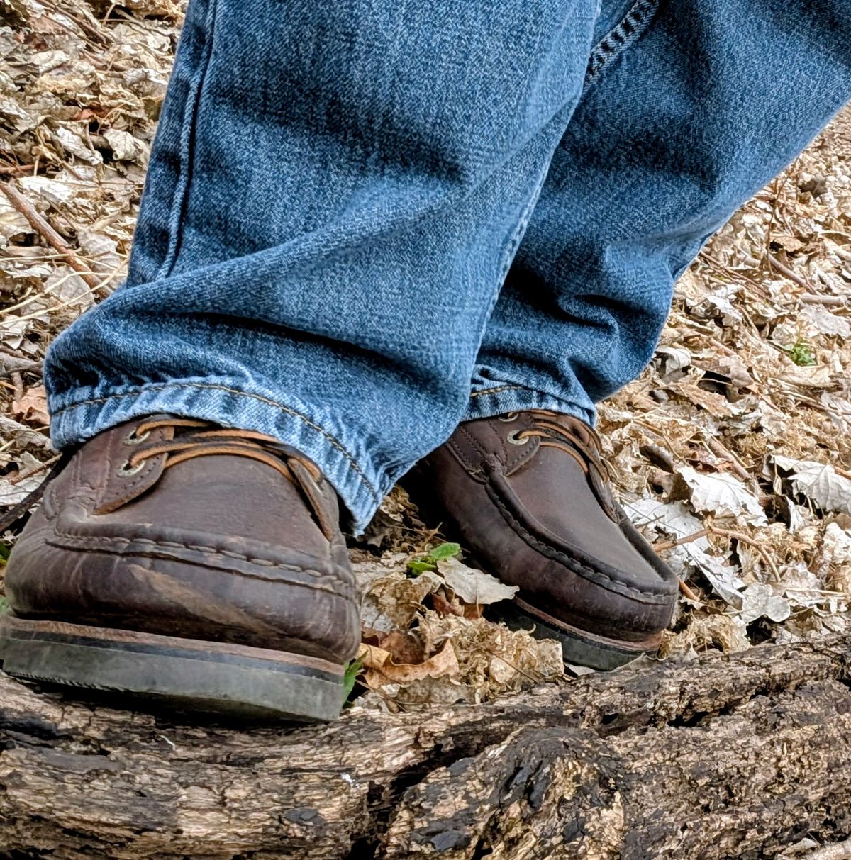Photo by BootsInBK on April 4, 2026 of the Jim Green Workhorse in Jim Green Bronco.