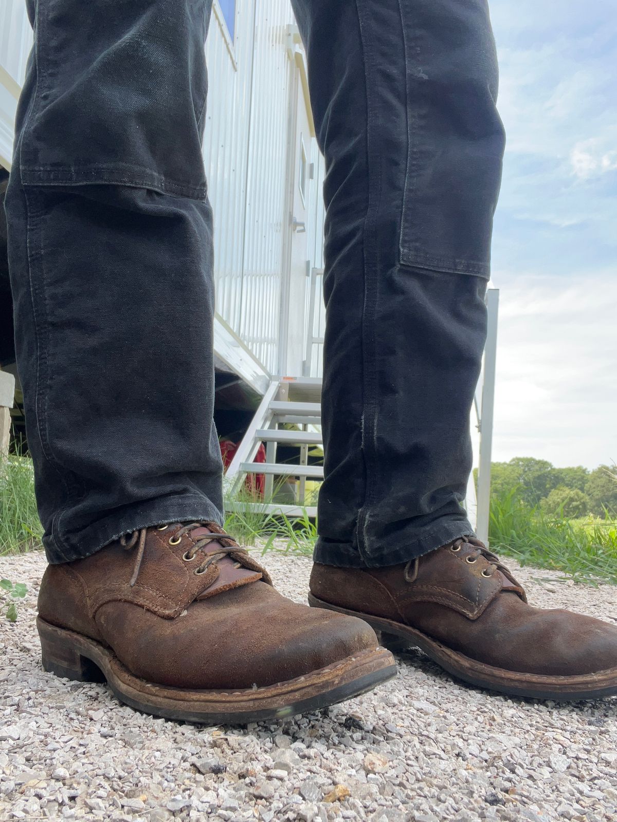 Photo by prichardson on July 24, 2025 of the White's 350 Cruiser in Seidel Red Dog Oil Tan Roughout.