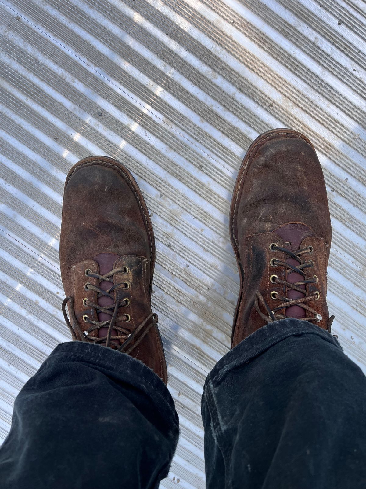 Photo by prichardson on July 24, 2025 of the White's 350 Cruiser in Seidel Red Dog Oil Tan Roughout.