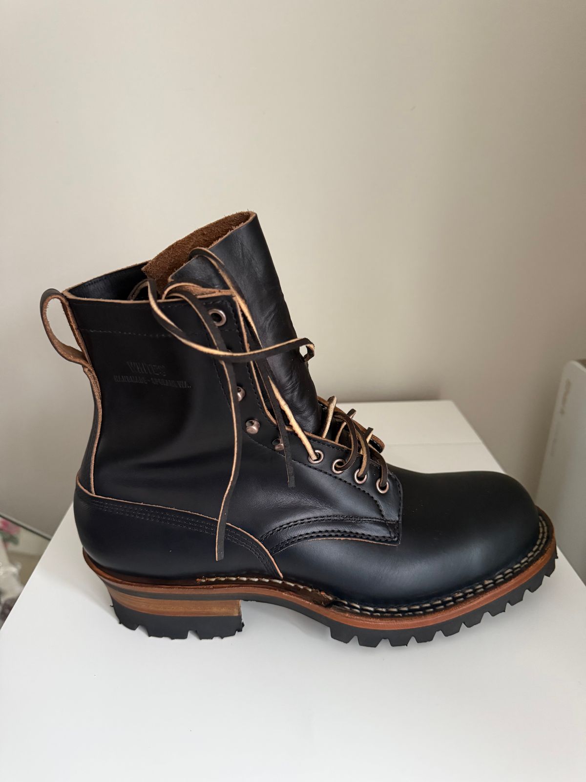 Photo by felixb on October 1, 2025 of the White's C355 Logger in Seidel Black Double Shot.