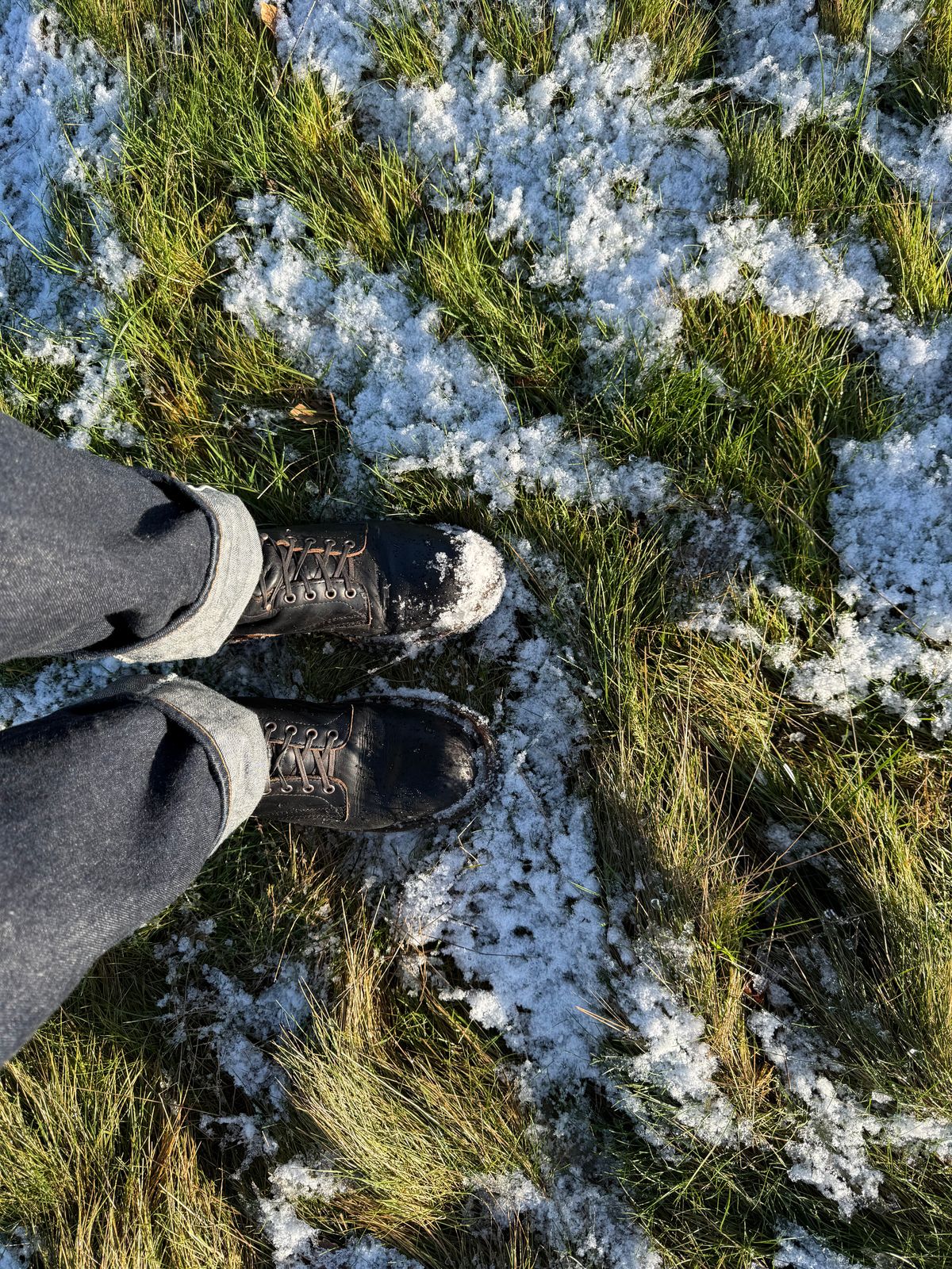 Photo by felixb on January 2, 2026 of the White's C355 Logger in Seidel Black Double Shot.