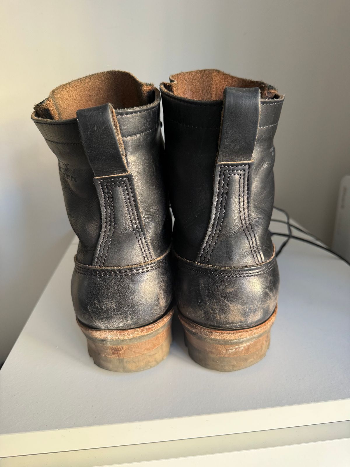 Photo by felixb on January 5, 2026 of the White's C355 Logger in Seidel Black Double Shot.