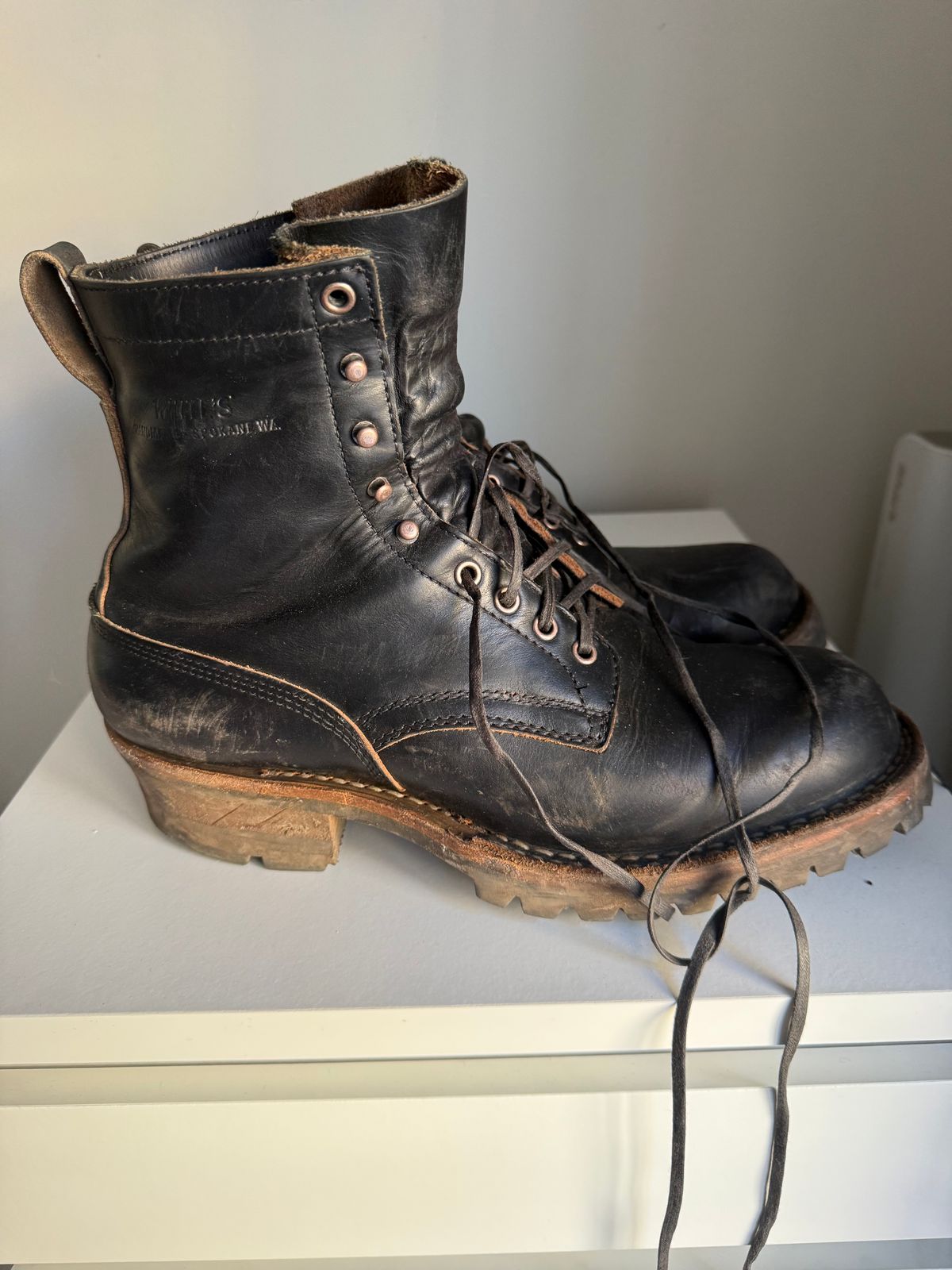 Photo by felixb on January 5, 2026 of the White's C355 Logger in Seidel Black Double Shot.